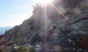 Hiking