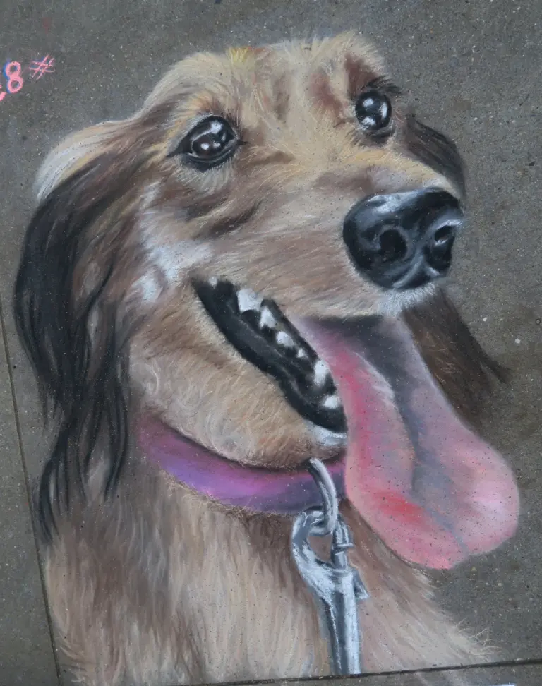 Chalk portrait of a happy long-haired dog with its tongue out and a leash clipped to its collar.